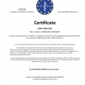 Ampliar imagen: certificate 46