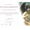 Ampliar imagen: certificate 9