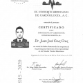 Ampliar imagen: certificate 1