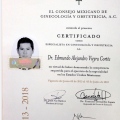 Ampliar imagen: certificate 1