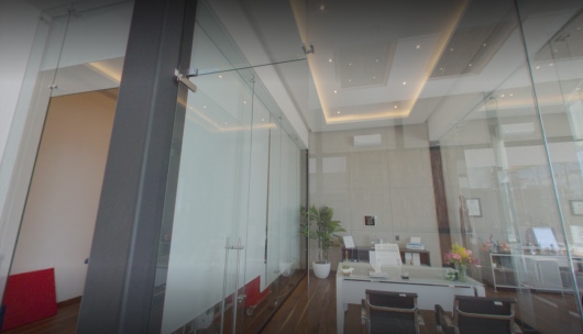 Salvador Moya Villaseñor-8