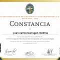 Ampliar imagen: certificate 1