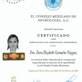 Ampliar imagen: certificate 1