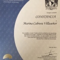 Ampliar imagen: certificate 10