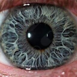 Fernando Cesta Hervert-3