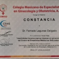Ampliar imagen: certificate 11
