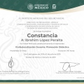 Ampliar imagen: certificate 1