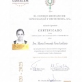 Ampliar imagen: certificate 4
