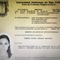 Ampliar imagen: certificate 13