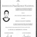 Ampliar imagen: certificate 13