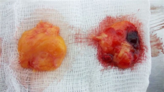 José Antonio Gallegos Vargas-5