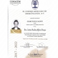 Ampliar imagen: certificate 5