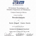 Ampliar imagen: certificate 8