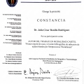 Ampliar imagen: certificate 25