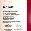 Ampliar imagen: certificate 4