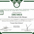 Ampliar imagen: certificate 4