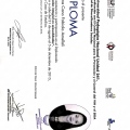 Ampliar imagen: certificate 1