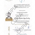 Ampliar imagen: certificate 1