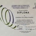 Ampliar imagen: certificate 5