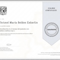 Ampliar imagen: certificate 3