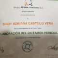 Ampliar imagen: certificate 7
