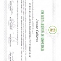 Ampliar imagen: certificate 5