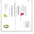 Ampliar imagen: certificate 13