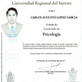 Ampliar imagen: certificate 13