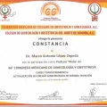 Ampliar imagen: certificate 59