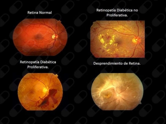 Wendolyn Ramírez Estrada-4