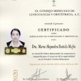 Ampliar imagen: certificate 5