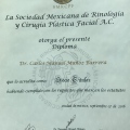 Ampliar imagen: certificate 3