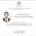 Ampliar imagen: certificate 20