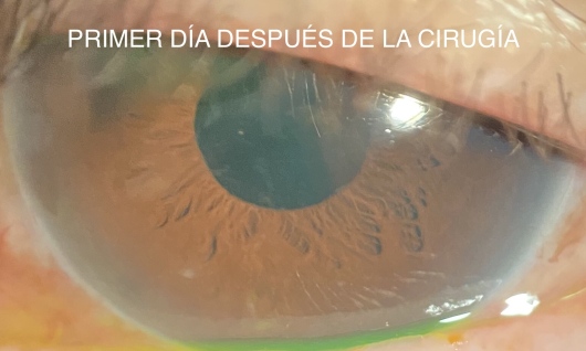 Norma Evelia Pichardo Sotelo-0