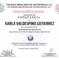 Ampliar imagen: certificate 8