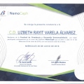 Ampliar imagen: certificate 22