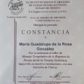 Ampliar imagen: certificate 8