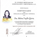 Ampliar imagen: certificate 34