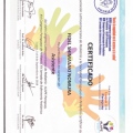 Ampliar imagen: certificate 19