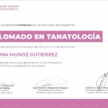 Ampliar imagen: certificate 10