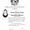 Ampliar imagen: certificate 4