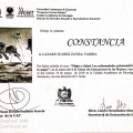 Ampliar imagen: certificate 9