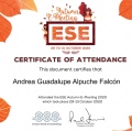 Ampliar imagen: certificate 4