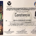 Ampliar imagen: certificate 8