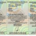 Ampliar imagen: certificate 2