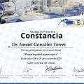 Ampliar imagen: certificate 10
