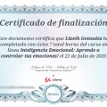 Ampliar imagen: certificate 2