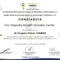 Ampliar imagen: certificate 20