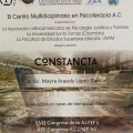 Ampliar imagen: certificate 25