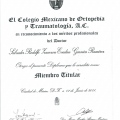 Ampliar imagen: certificate 3